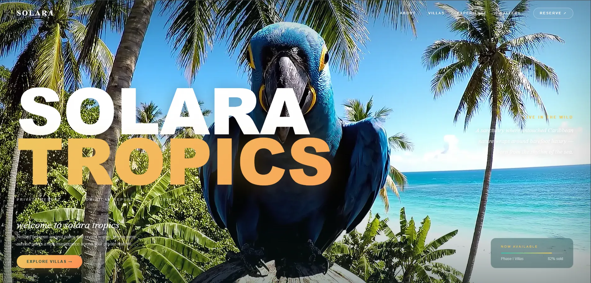 Solara Tropics — Biuro Podróży — realizacja Jakub Sidor Web Developer